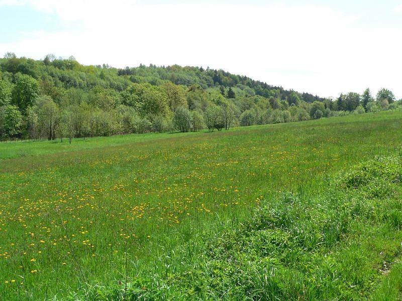 wiosna 2008_28.jpg